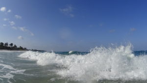dsc00469